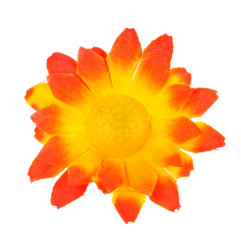 orange-yellow-dasies-20-gab-widmann-23981-1