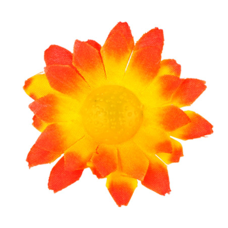 orange-yellow-dasies-20-gab-widmann-23981-1