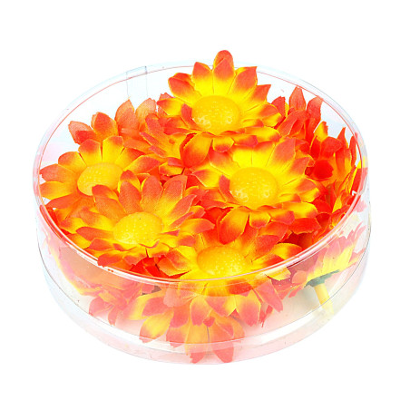 Margrietiņas oranži dzeltenas, 20 gab.