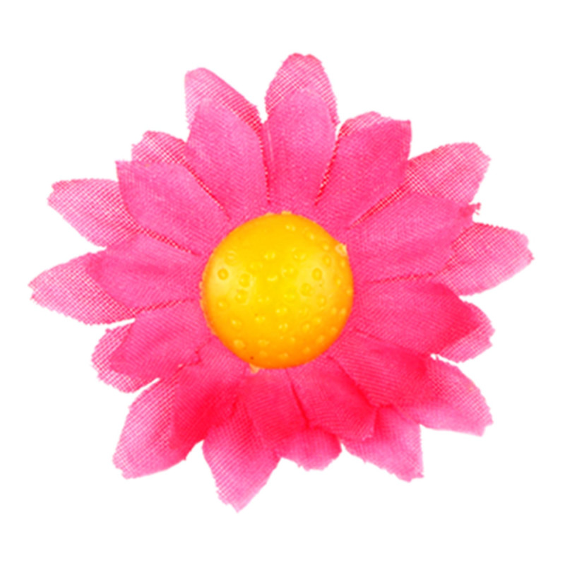 dasies-fuchsia-pink-20-gab-widmann-23983