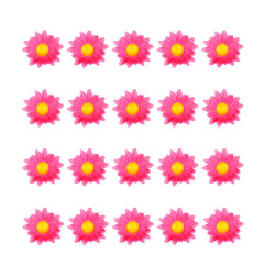 dasies-fuchsia-pink-20-gab-widmann-23983-2