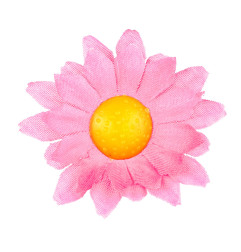 margrietinas-roza-20-gab-widmann-23982
