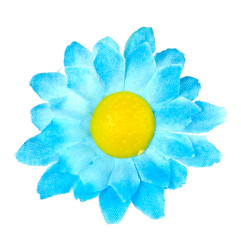 dasies-blue-20-gab-widmann-23984