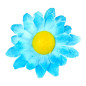 dasies-blue-20-gab-widmann-23984