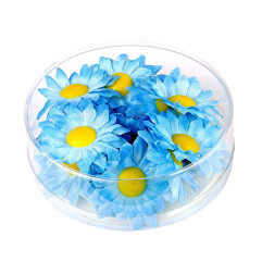 Margrietiņas zilas 20 gab.