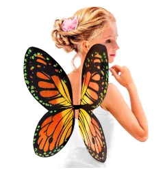 butterfly-wings-orange-yellow-widmann-00530