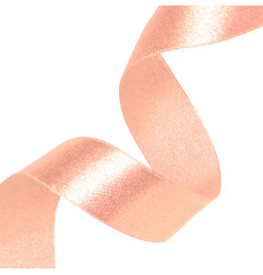 satin-ribbon-salmon-partypal-146088