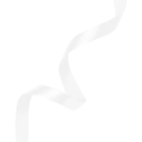 satin-ribbon-white-partypal-145807