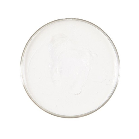 white-makeup-25g-widmann-02387