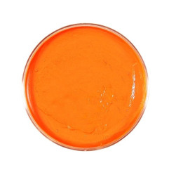 orange-makeup-25g-widmann-02397